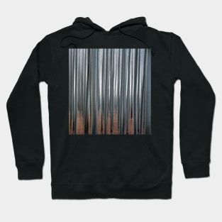 Forest Illusions- Poplar Forest Hoodie